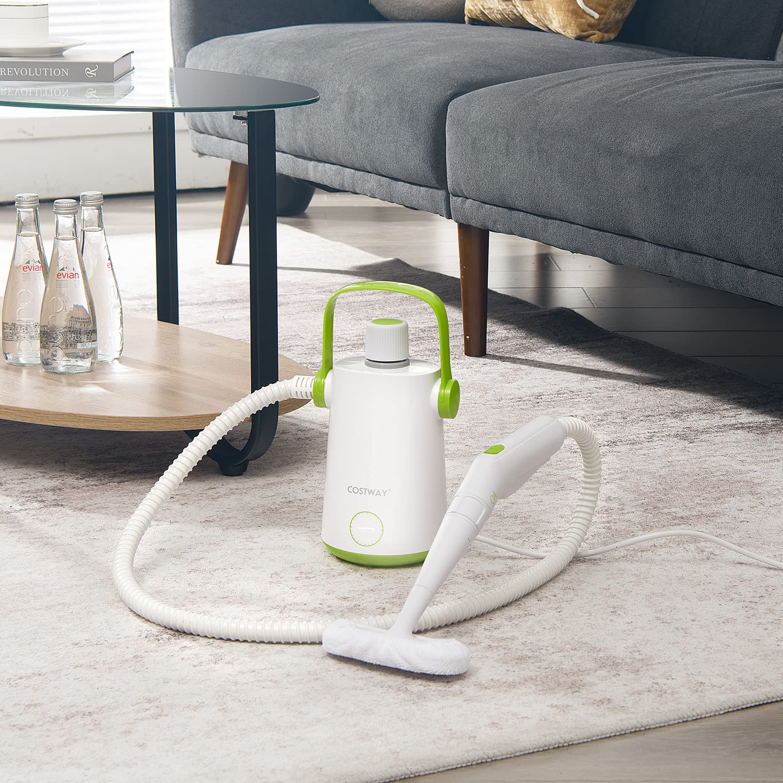 FANTASK Ręczna myjka parowa 1000 W, pojemność 300 ml i 10 zestawów akcesoriów, Steamshot Steam Cleaner