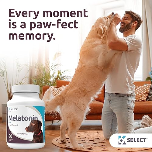 Miniatura 5 de K9 Select Melatonina para perros  6 mg, 90 comprimidos masticables con sabor a carne  Melatonina para razas de perros pequeños a grandes  Momentos