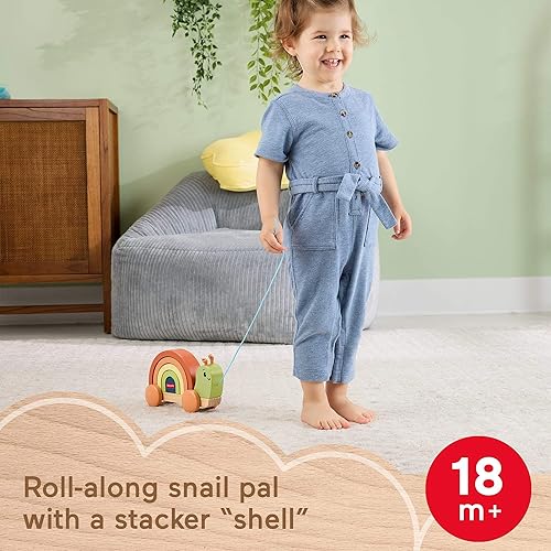 Fisher-Price Wood Toddler Toy Pull-Along Stacking Snail, Tiny Garden 6-Piece Wooden Activity for Motor Skill Development Kids Ages 18+ Months (Amazon Exclusive)