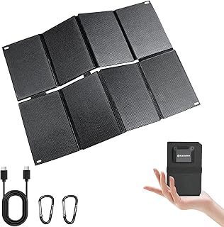 【発電革命】ELECAENTA 25W 