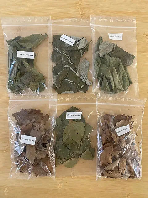 Nano Laubmix 6 Sorten für Aquarien: Eiche, Brombeer, Buche, Himbeer, Birke & Haselnuss