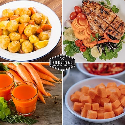 Miniatura 5 de Survival Garden Seeds - Semillas de zanahoria Imperator 58 para plantar - Paquete con instrucciones para plantar y cultivar zanahorias Danvers
