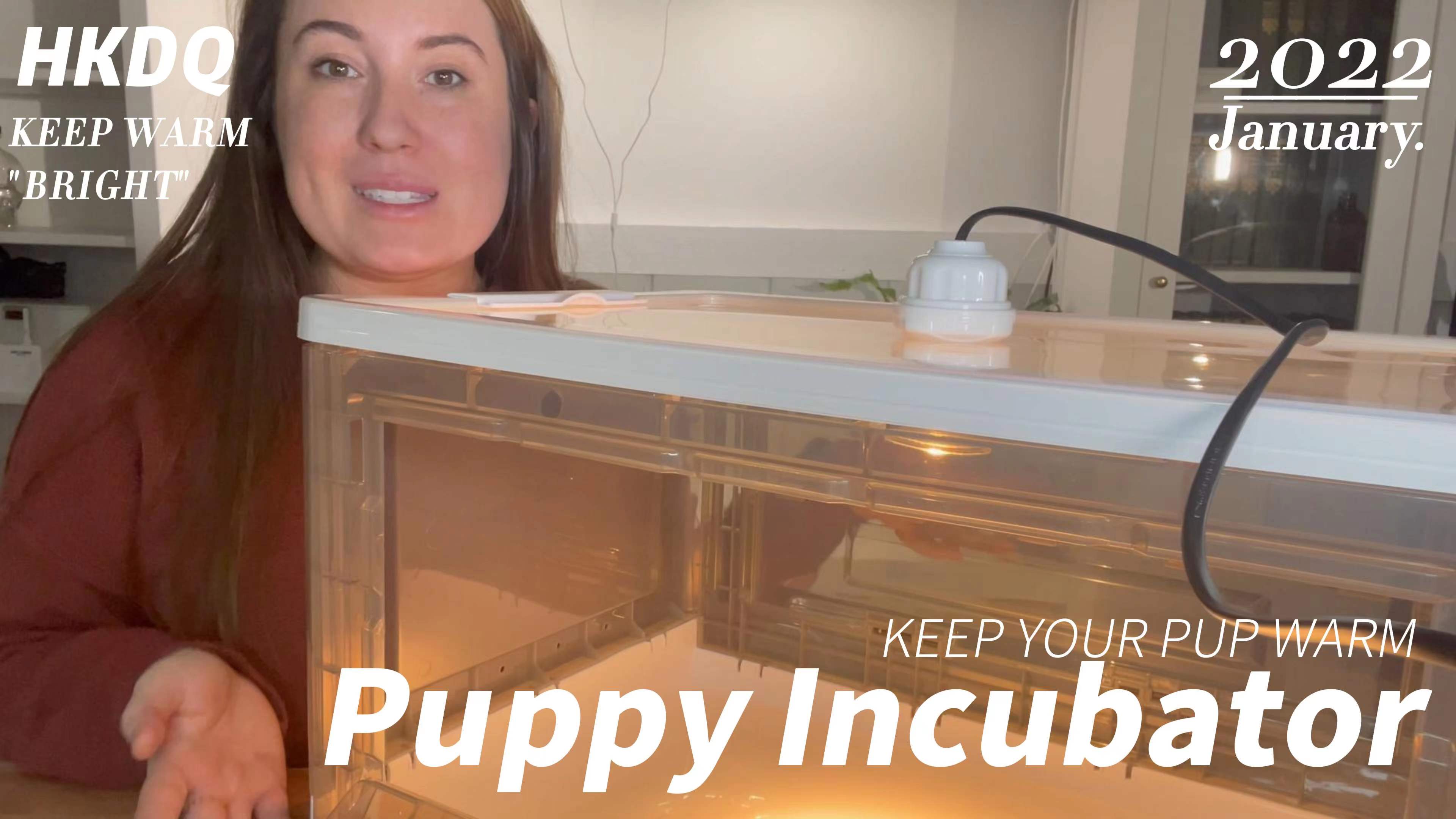 HKDQ Puppy Incubator,Keeping Newborn Puppies Warm!