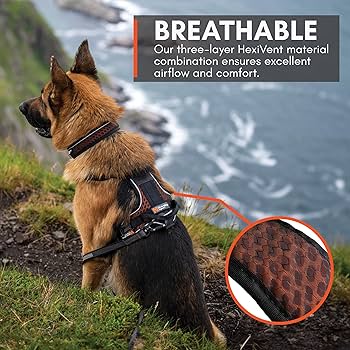 Non-stop dogwear ノンストップドッグウェア　ハーネス Non-stop dogwear] Line Harness 5.0 グリーン | Whit