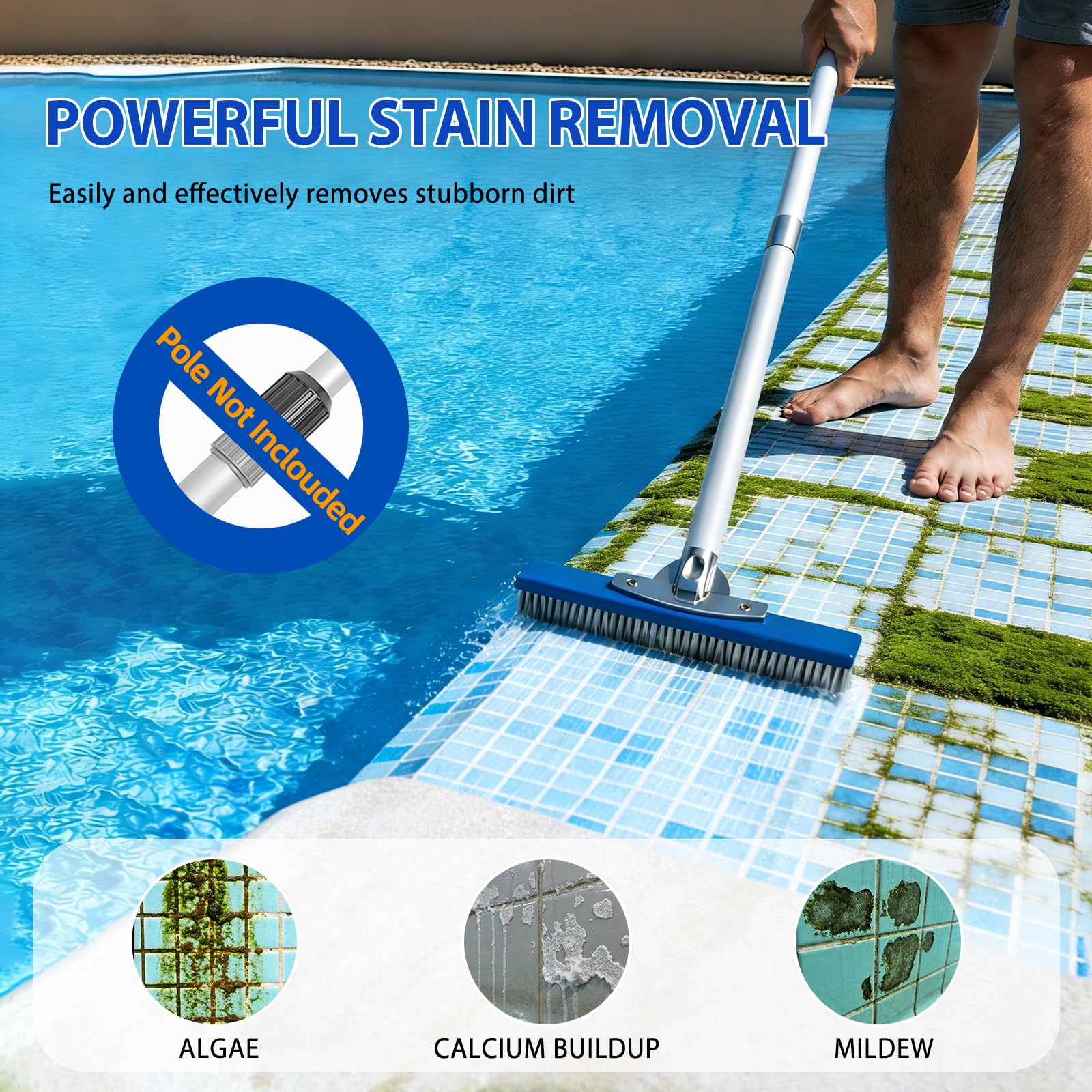 Cepillo Piscina 10 Pulgadas (25,4 cm) con cerdas de Acero y Nylon, Cepillo Limpieza Piscina con Base de Aluminio y Clip EZ para pértiga telescópica, Cepillo Resistente para Fondo y Paredes enterrada - 5