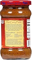 Vista 7 de Pasta de curry Rani CALIENTE (pasta de especias) tarro de vidrio de 10.5 onzas (10.58 oz) ~ Sin colores Totalmente natural Sin OMG Kosher