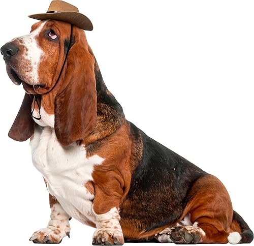 Disfraz de sombrero vaquero Rubies para mascotas, M / L, Marrón