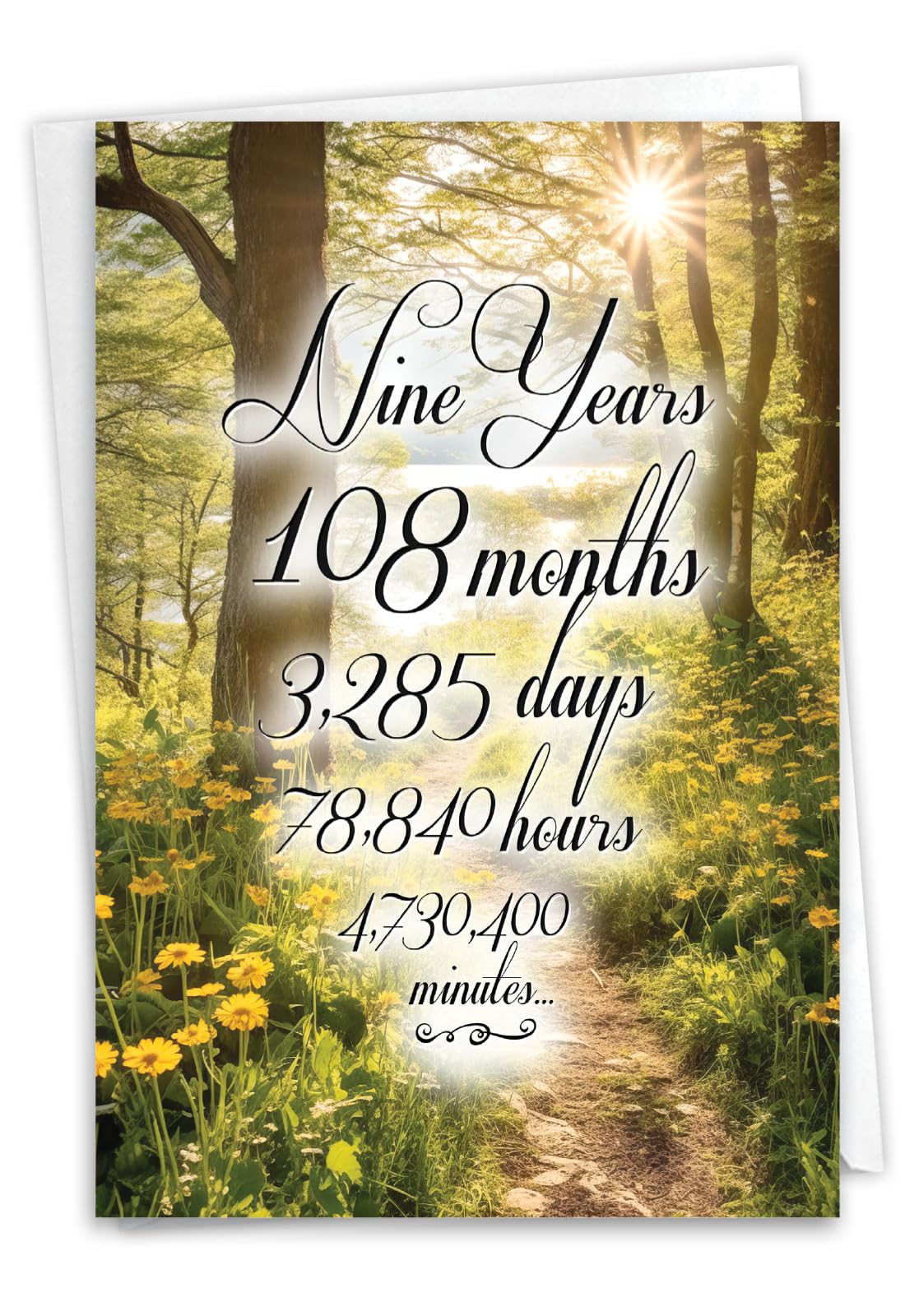 NobleWorks, 9th Recovery Greeting Card with 5 x 7 Inch Envelope (1 Card) 9 Year Time Count C10816AAG — image 1