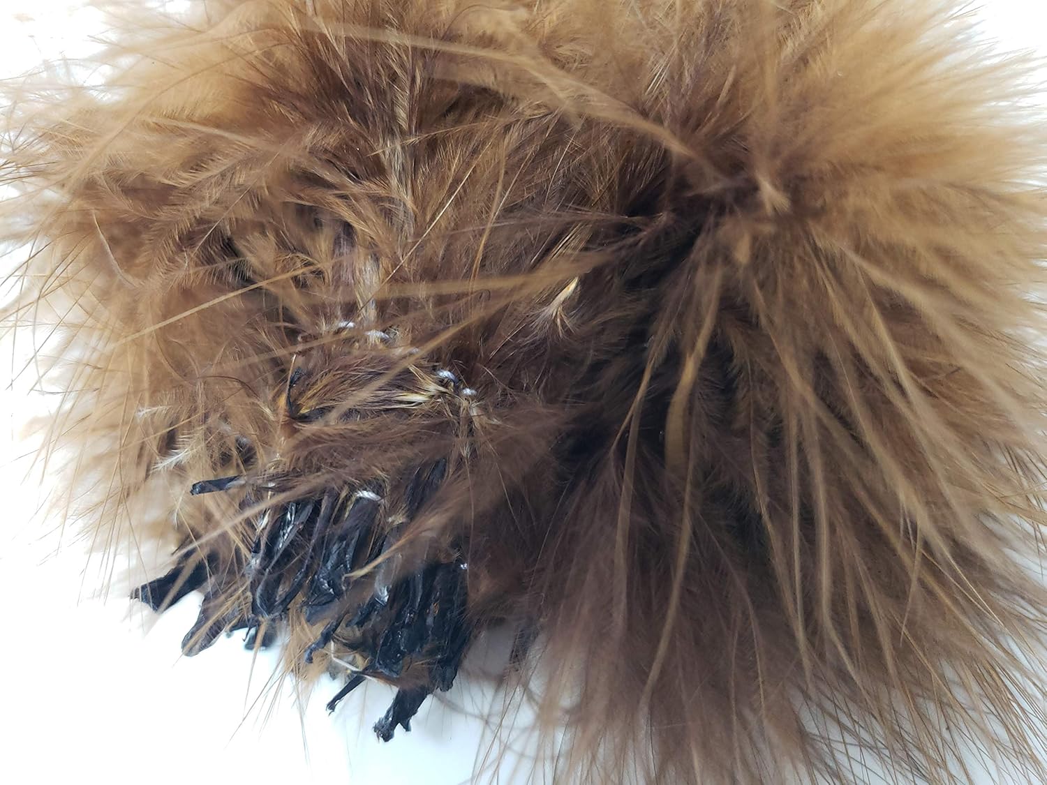 Creative Angler Marabou for Fly Tying/Tying Flies (Orange) : Sports & Outdoors