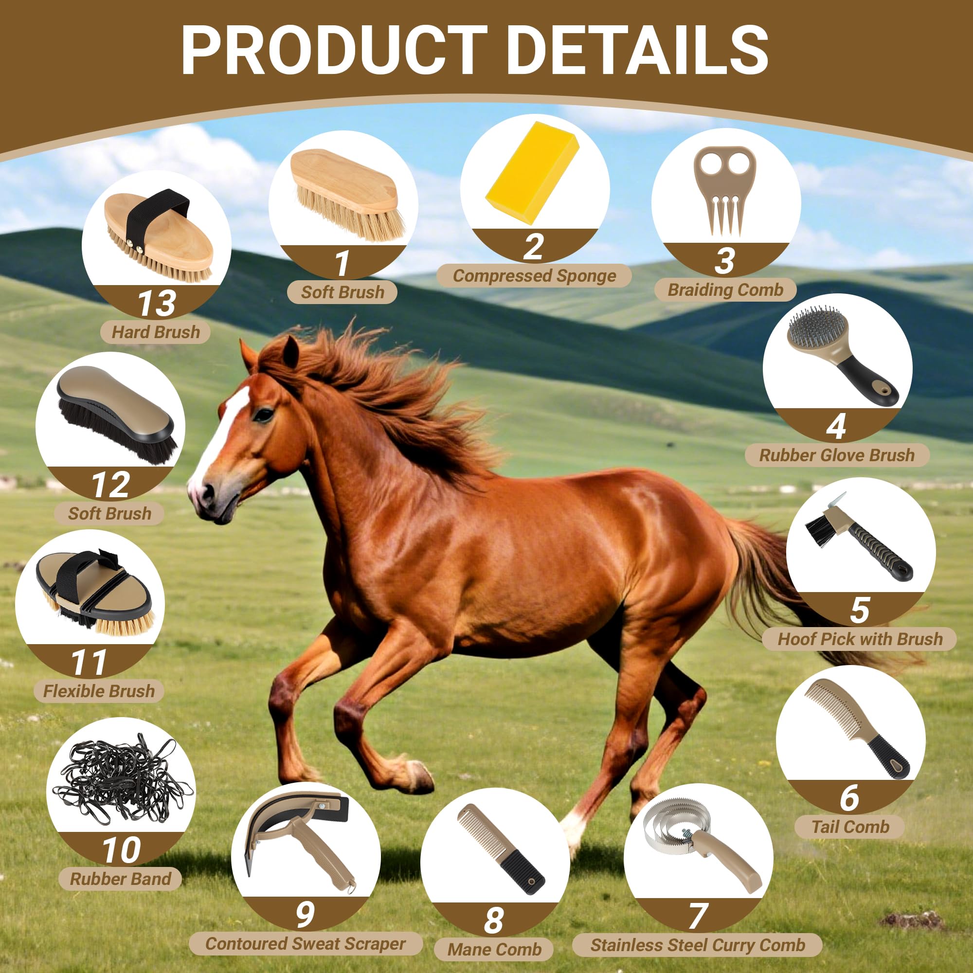 Kit per la toelettatura dei cavalli, set professionale 14 in 1 per toelettatura e cura, con spazzole per cavallo, pettine per curry, plettro per zoccoli e borsa portaoggetti impermeabile per brillare