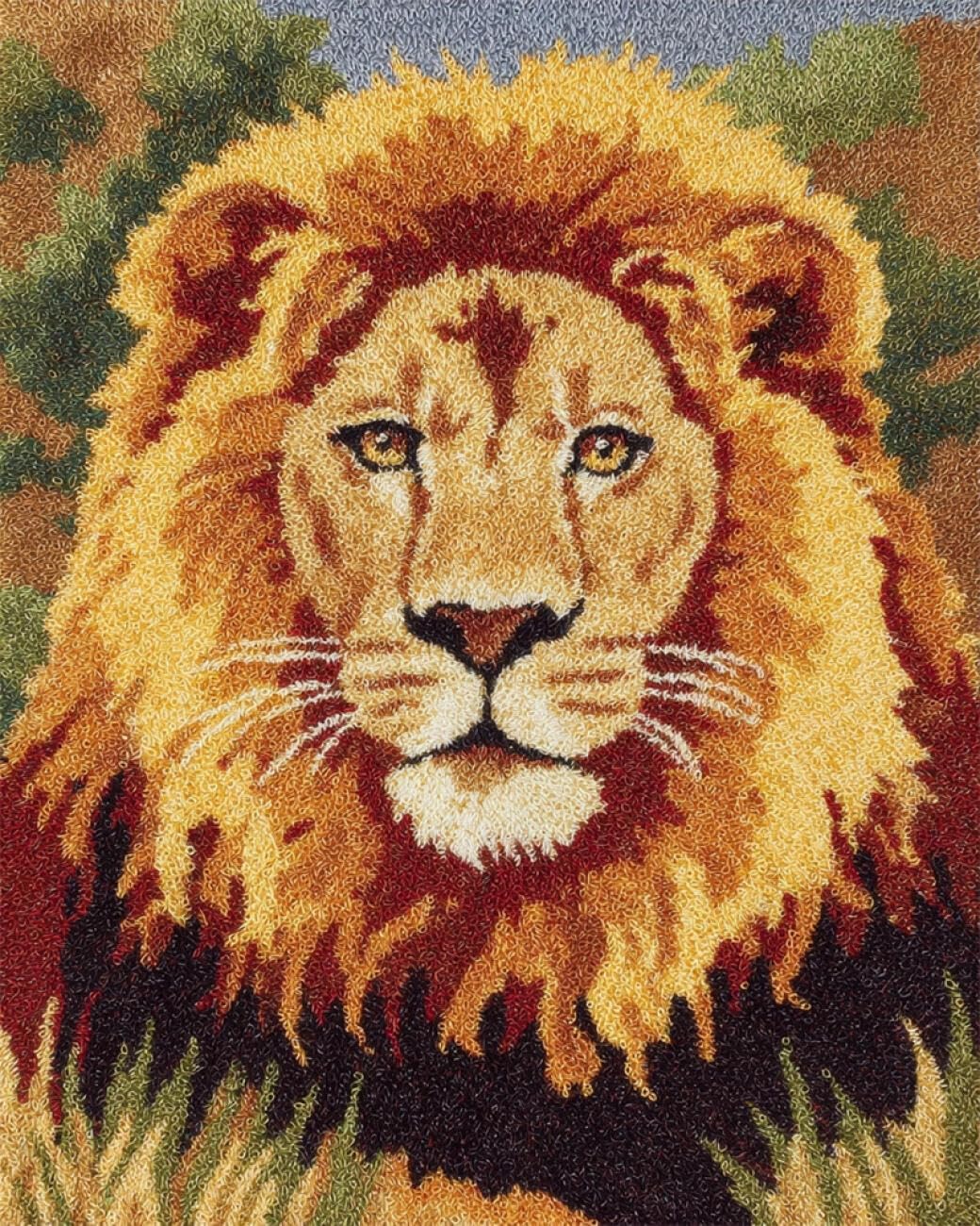 Henypt DIY Latch Hook Rug Kit Cartoon Lion 80x160cm