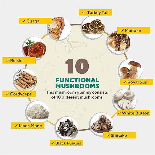Miniatura 3 de Gomitas de suplemento de hongos orgánicos - Impulso de inmunidad, energía natural, apoyo cerebral y de memoria - Mezcla de 10 hongos - 60 gomitas -