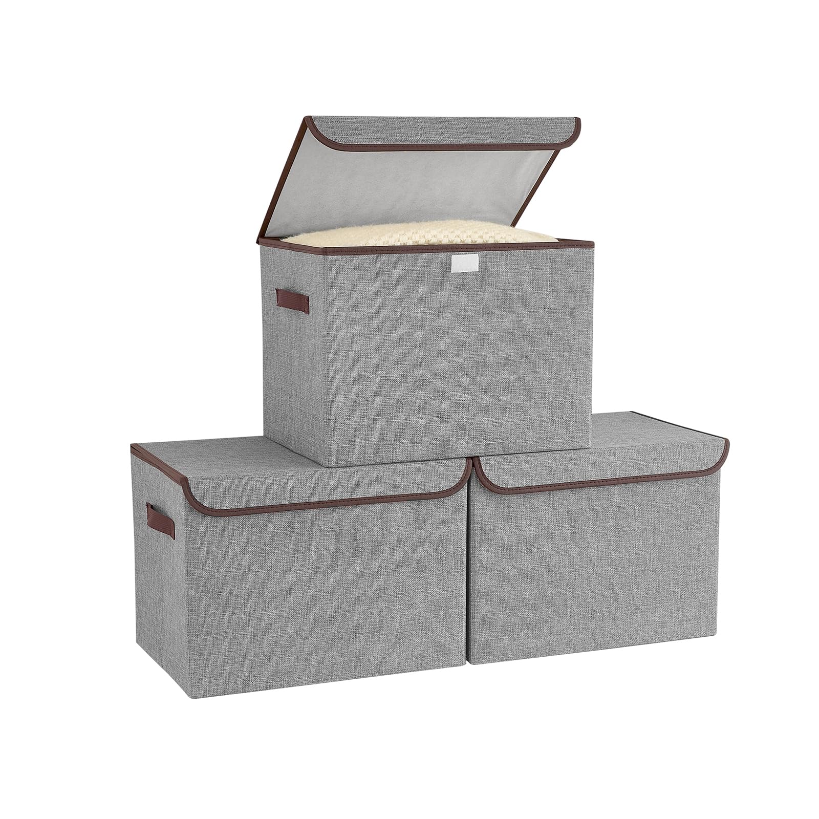 Bagnizer Aufbewahrungsboxen mit Deckel