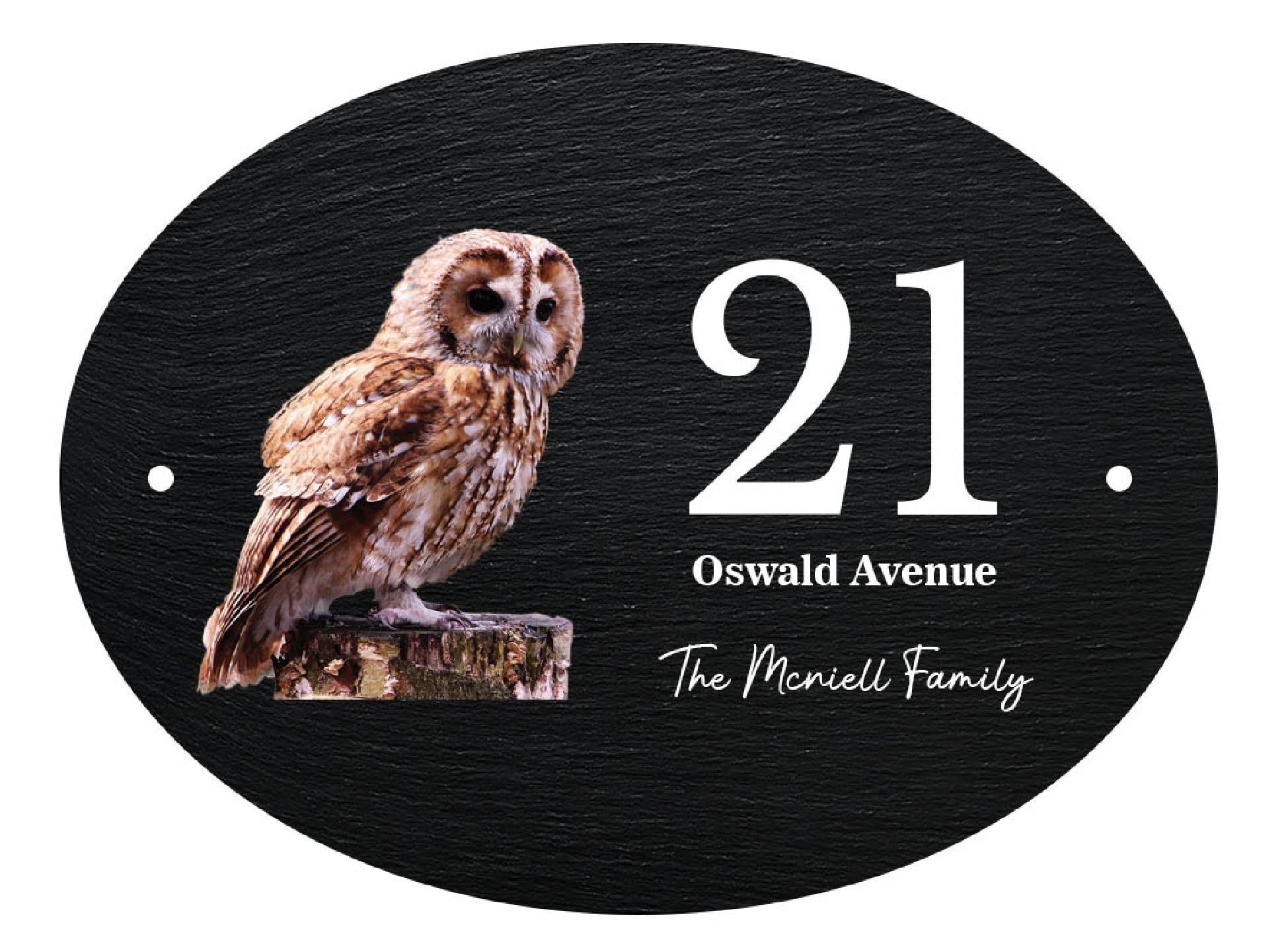 Personalised Oval Slate House Sign Door/Name Plate Robin Kingfisher Owl Blue Bird Squirrel (UV PRINTED) (Owl)