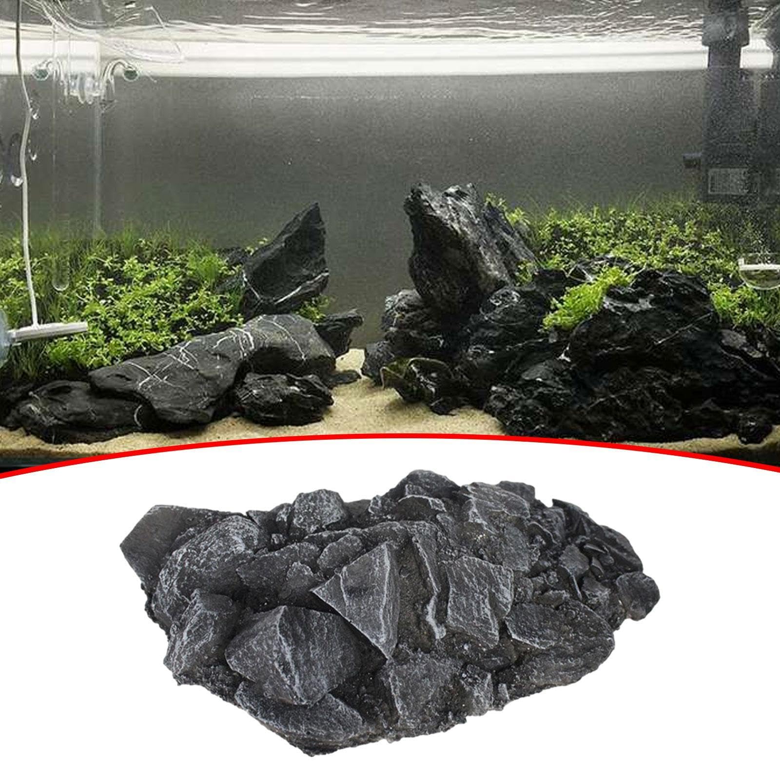 Meki Acua Vastocean Multifunction Flower Magnetic Horn Fish Training Mirror