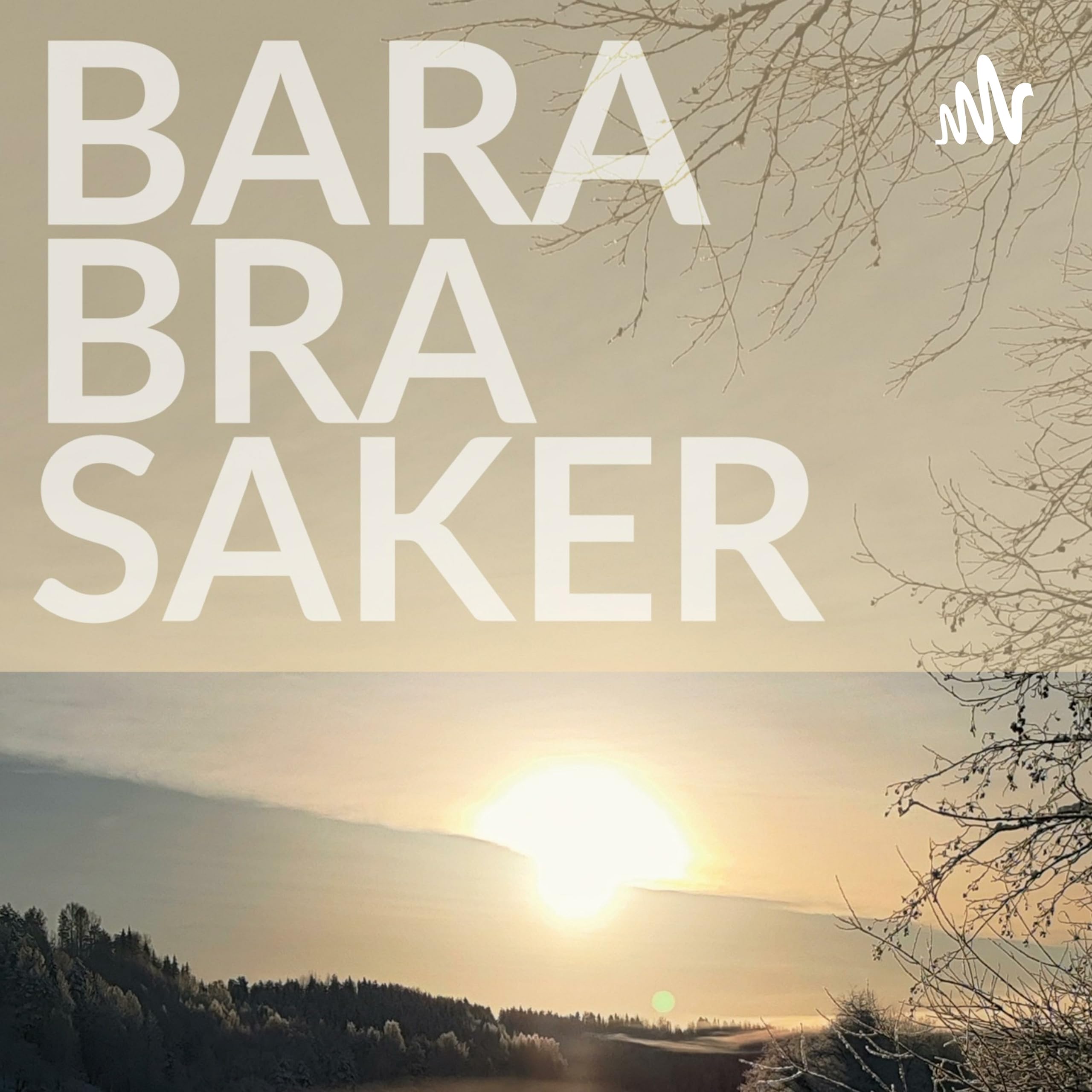 Bara bra sakerBara bra saker