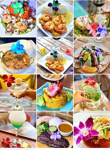 Miniatura 4 de Miami Fresh Orchid Flores perecederas de flores perecederas OrchidClub USA Sunne Tropical DIY lei, decoración de alimentos y bebidas (100 arcoíris)