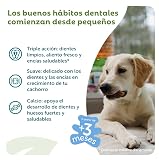 Ver la foto 2