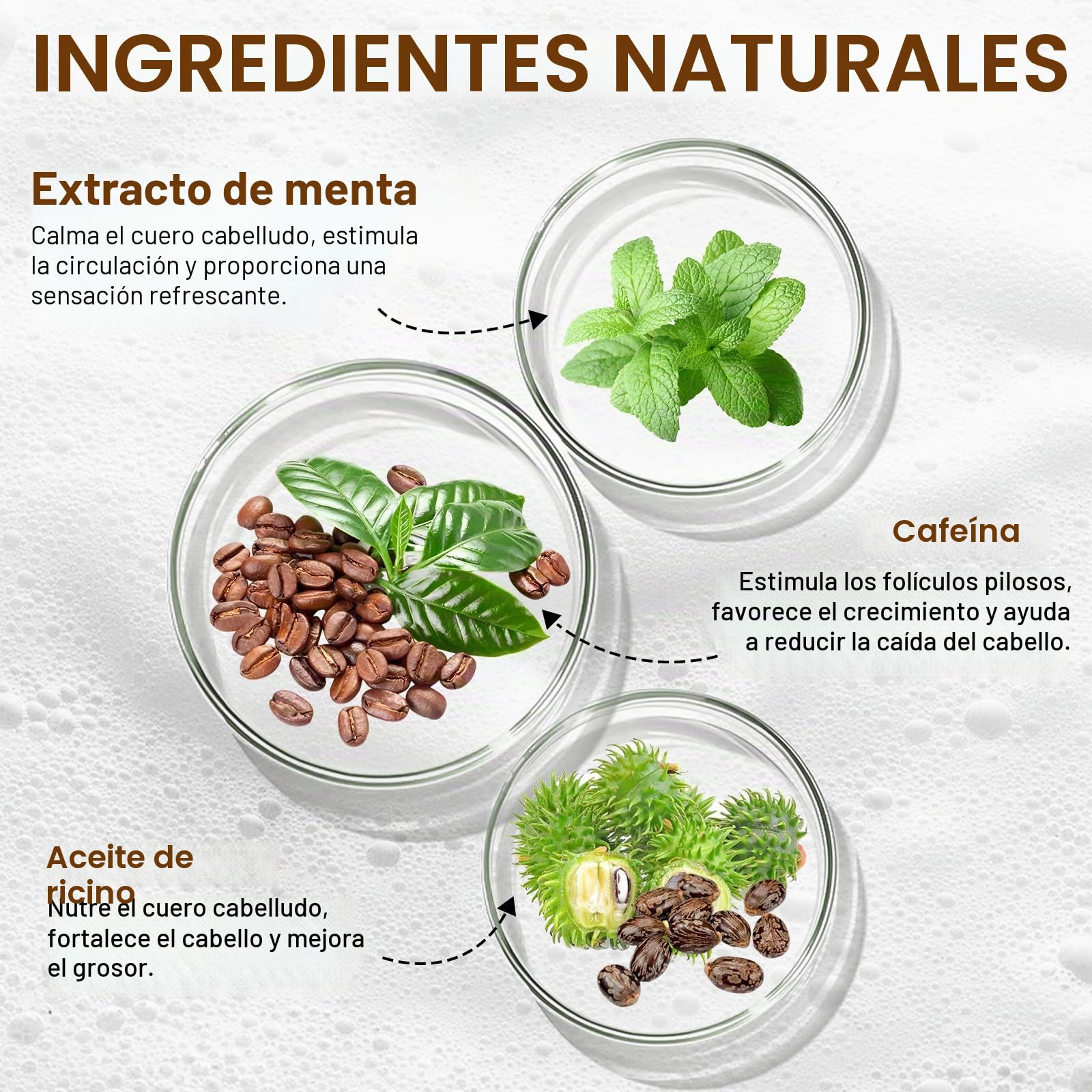 Champú de crecimiento capilar con cafeína, biotina y romero