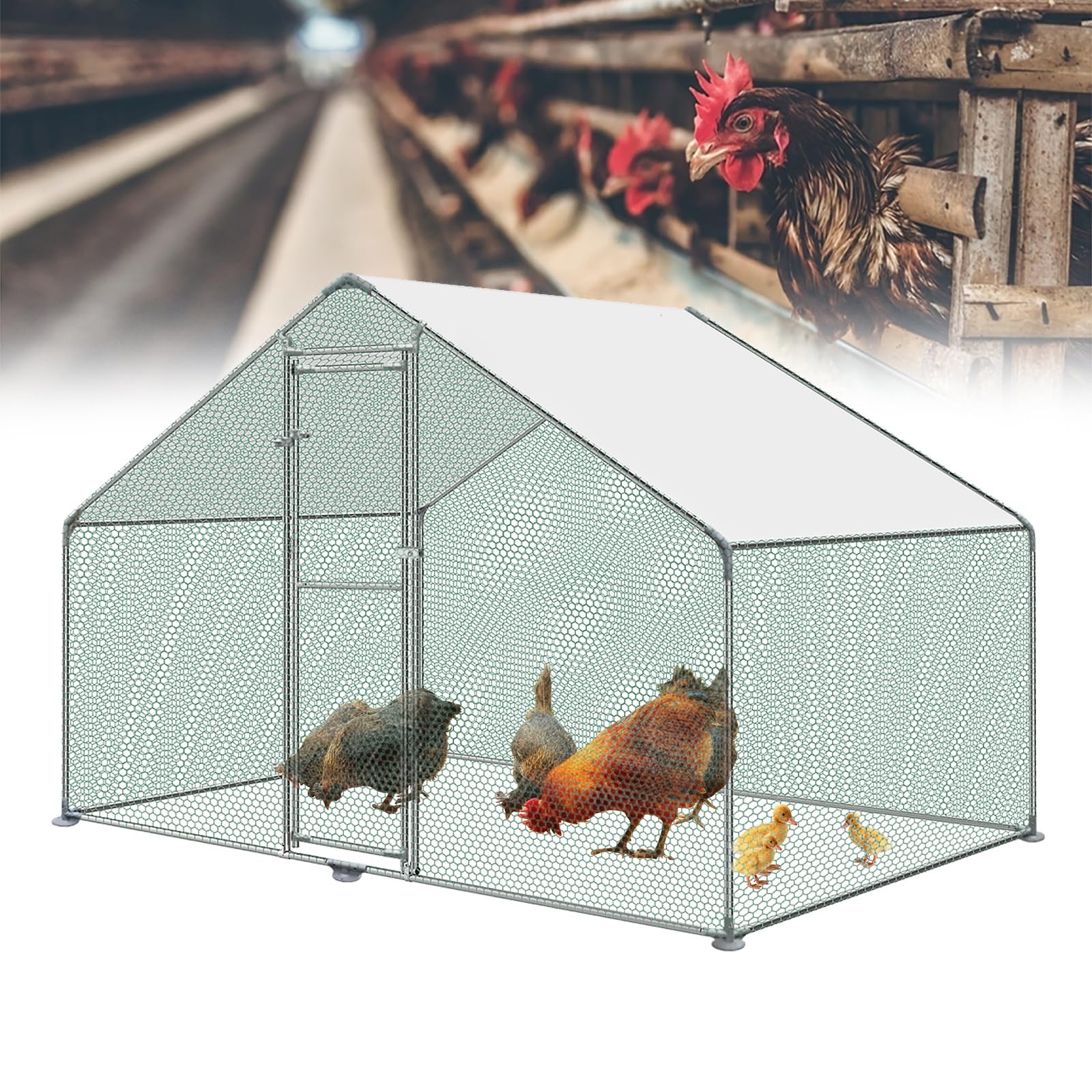 NAIZY Recinzione per polli XXL, 3 x 2 x 2 m, con tetto parasole in PE e lucchetto Chicken Run, per pollo, pollo, piccoli animali, anatra, conigli
