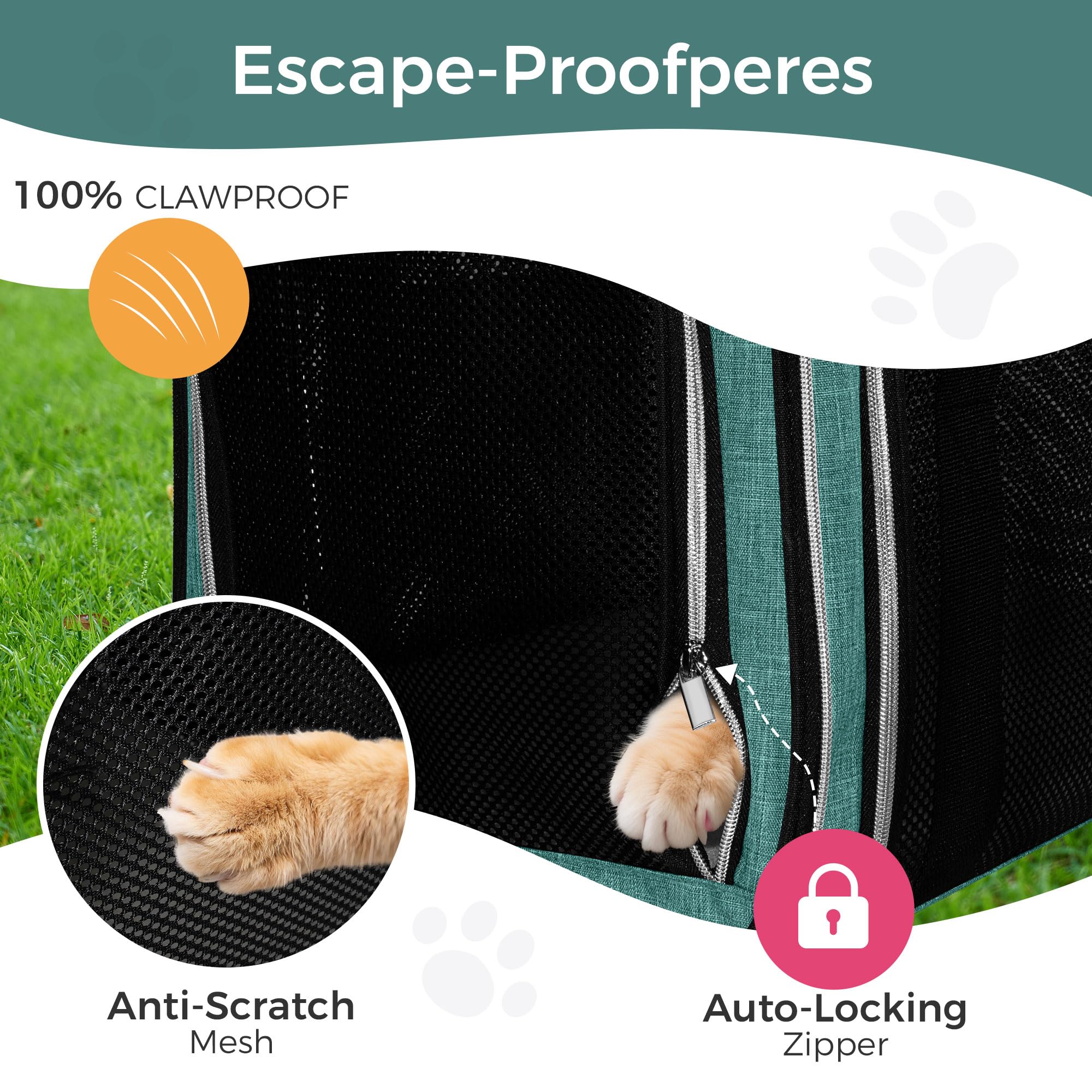 BAGLHER Pet Travel Carrier, Cat Carriers Dog Carrier for Small Medium Cats Dogs Puppies, Airline Approved Small Dog Carrier Soft Sided, Collapsible Puppy Carrier. Green - image 5