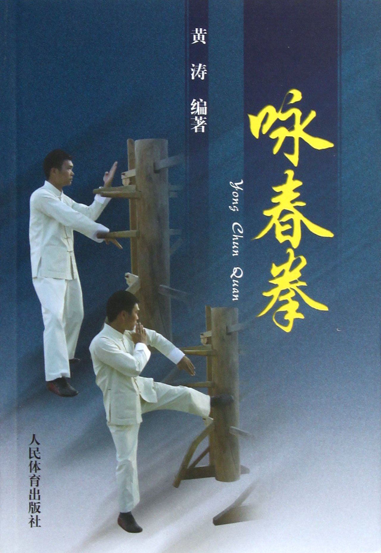 咏春拳教程心法实战技术教学书咏春拳从入门到精通零基础学咏春拳咏春拳