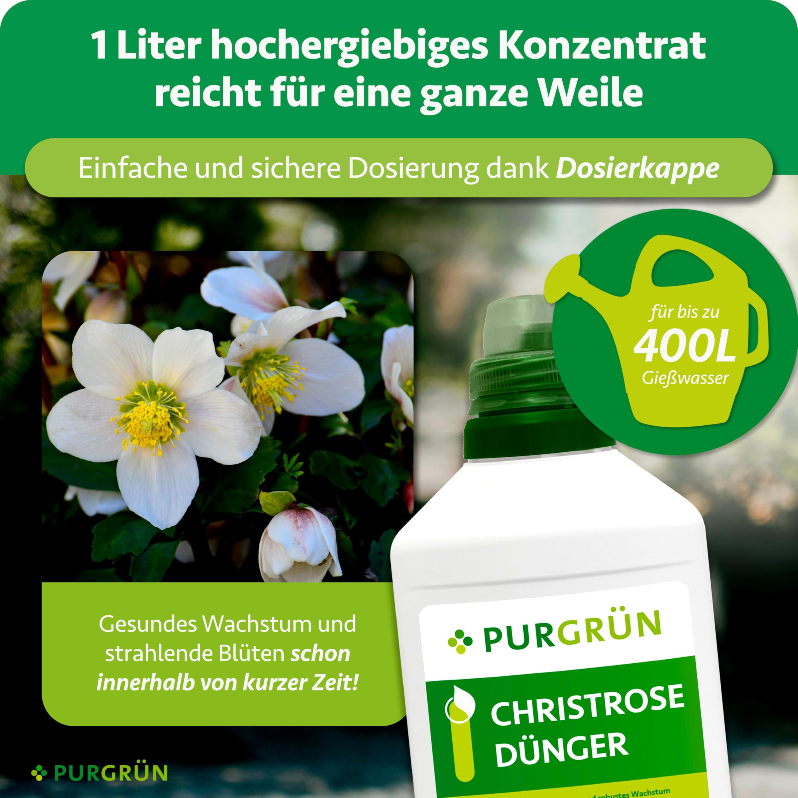 aloe vera bauhaus Aloe Vera :12 H:25 cm - Pflanzen sicher zu dir nach Hause
