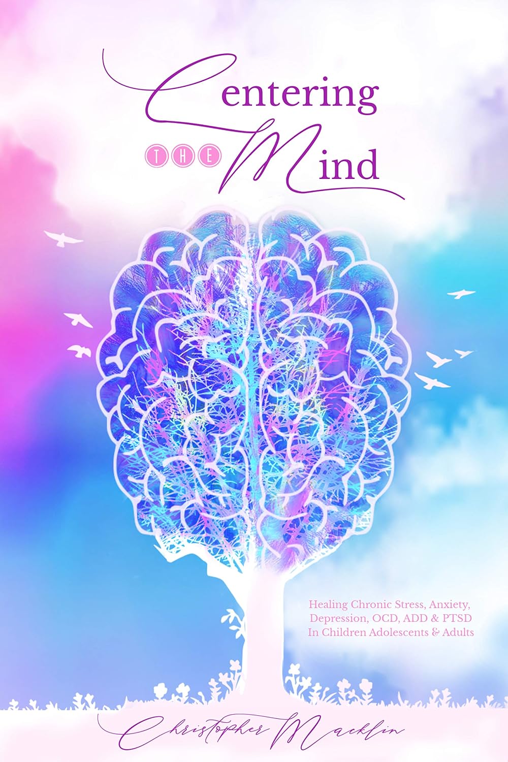 Centering The Mind: Healing of Chronic Stress, Anxiety, Depression ADD, OCD & PTSD In Children, Adolescents & Adults