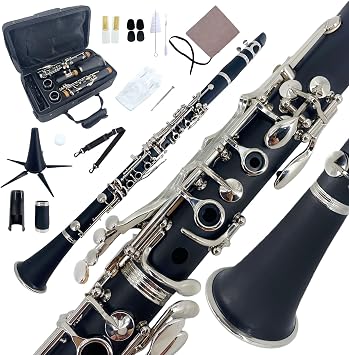 Bb Clarinet for Beginners,Professional B Flat Ebonite Clarinet with 2 Barrels Hard Case Cleaning Kit Mouthpice Cork Grease Gloves Bb