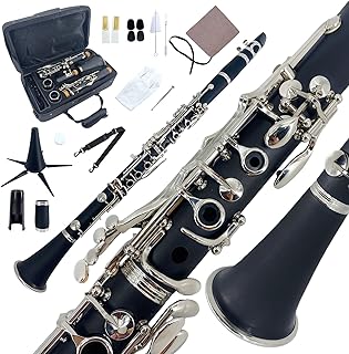 Bb Clarinet Black Ebonite Body Nickel-Plated Keys Wood Clarinets Complete Beginner Kit with Hard Bag & Care Tools Easy to Learn, Rich Sound for Beginners & Adult Learners Practice(q1)