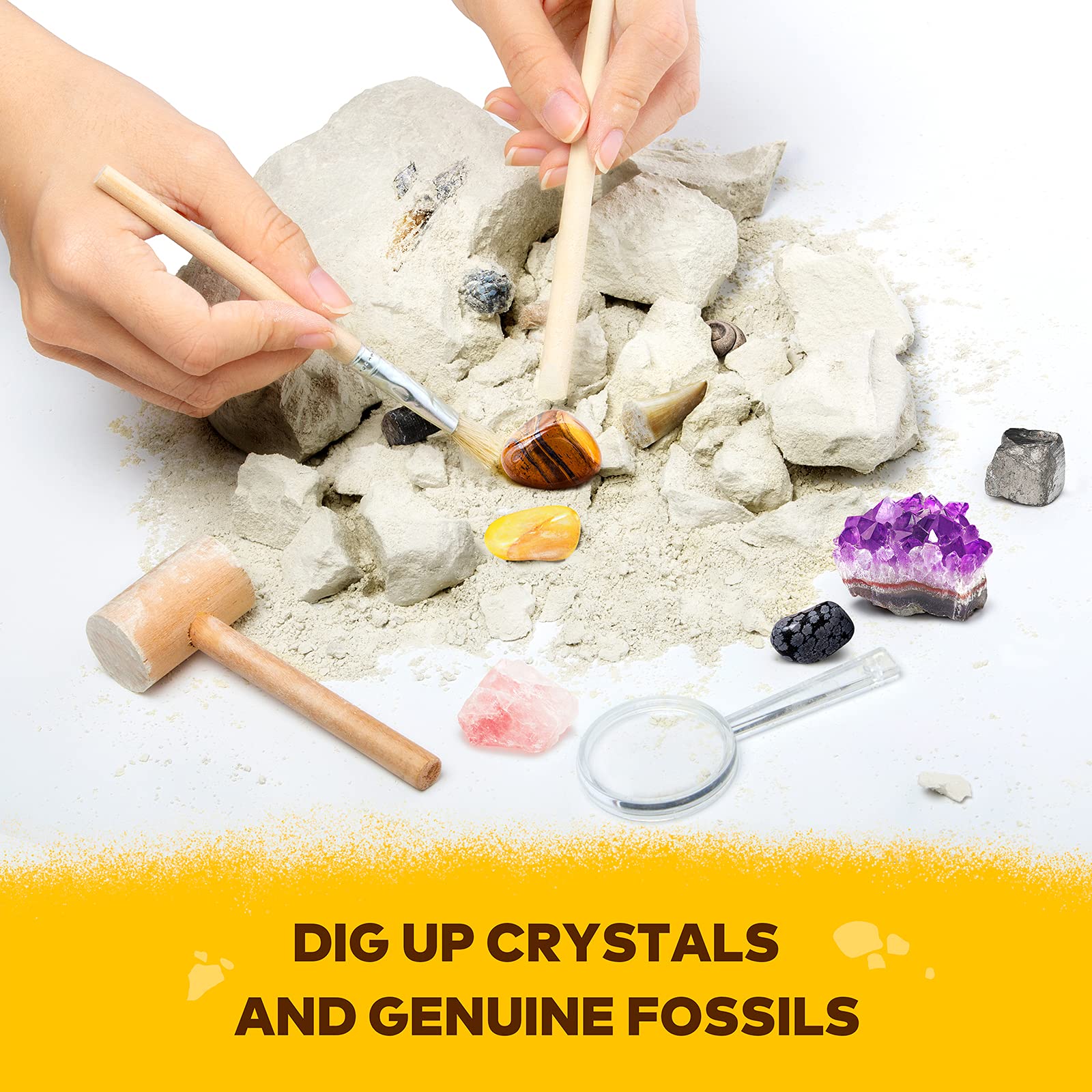 Buy Makeblock 2 in 1 DIY Geological Dig Kit, Archaeological Excavation