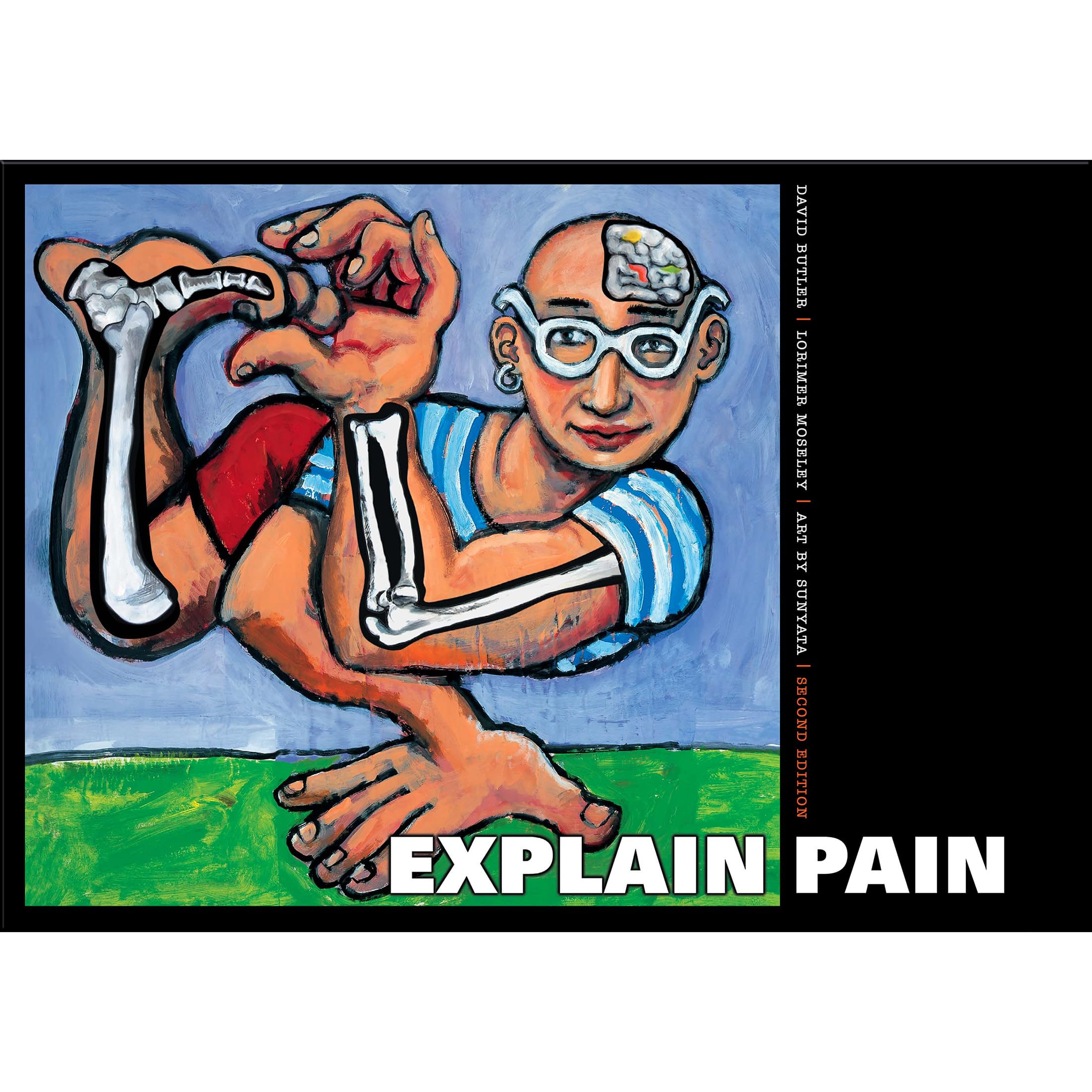 Noigroup Publications Explain Pain