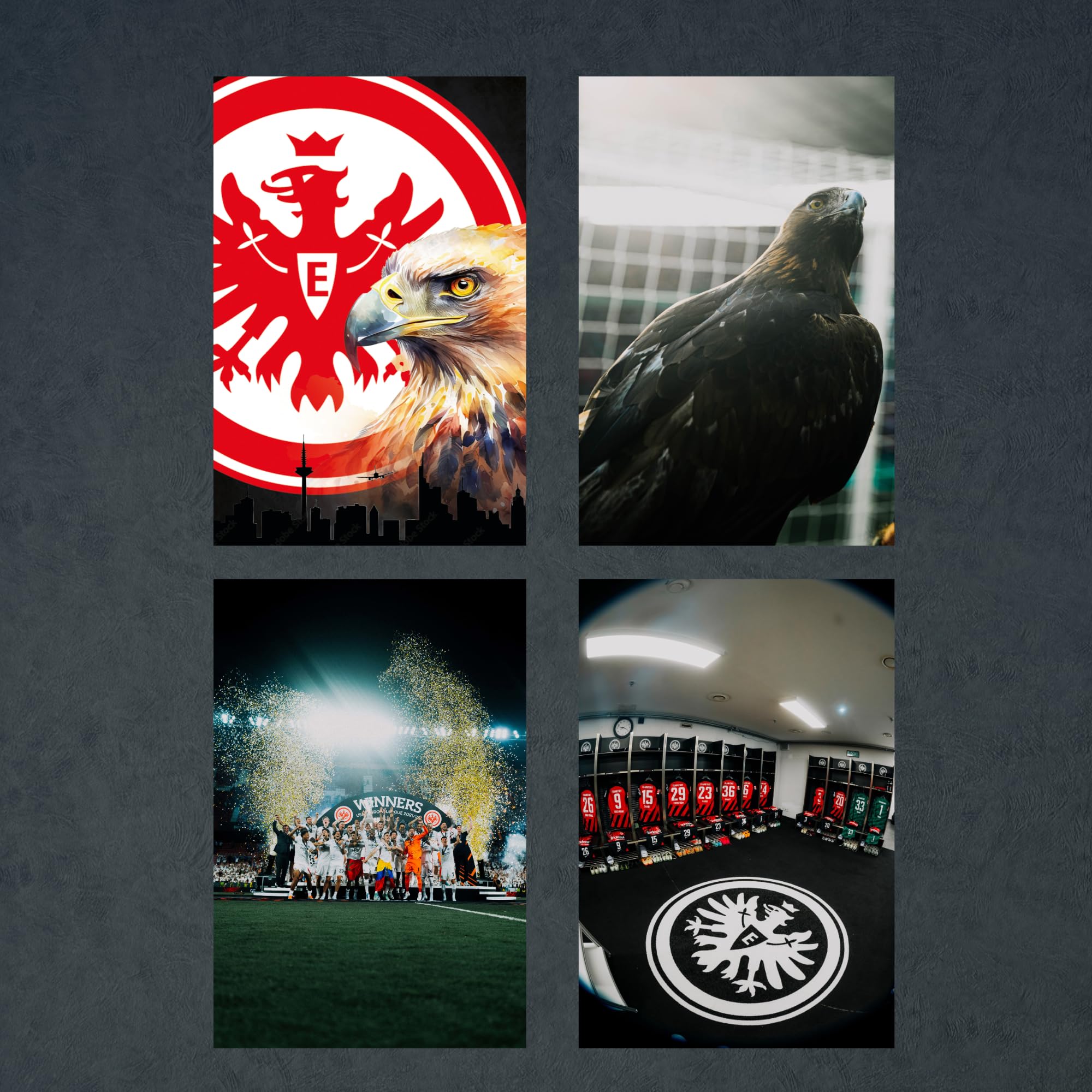 Eintracht Frankfurt Fanartikel - Adler Attila - Wandbild (60cm x 40cm) auf Aluminium I Exklusive Motive