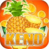 Root Madness Tablets Smartphone Droid Free Games