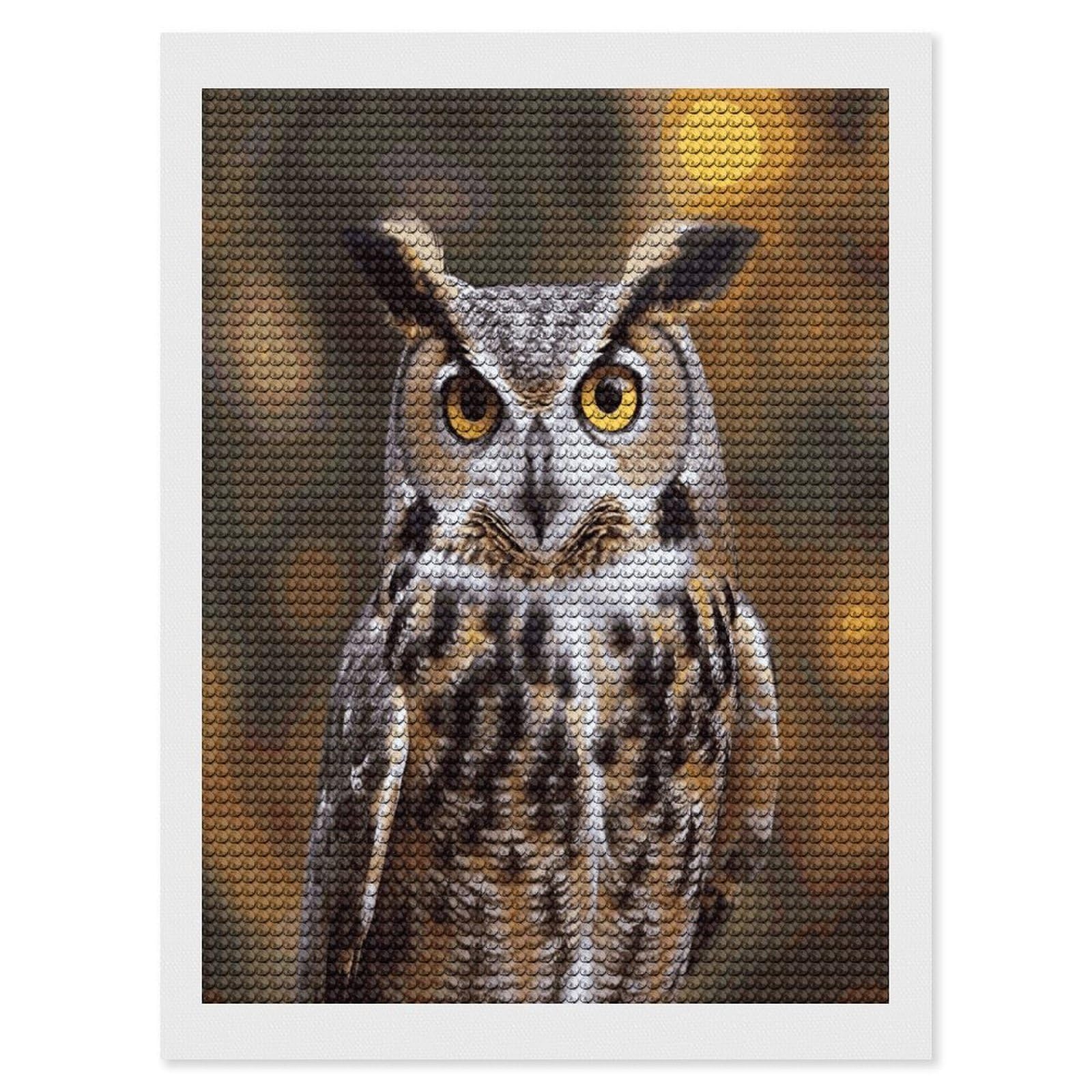JTREHY Owl Birds Diamond Art Kits Personalized DIY Round Diamond Painting Kits for Beginner Full Drill Diamonds Dots Paintings for Adults Gem Art Crafts Home Decor