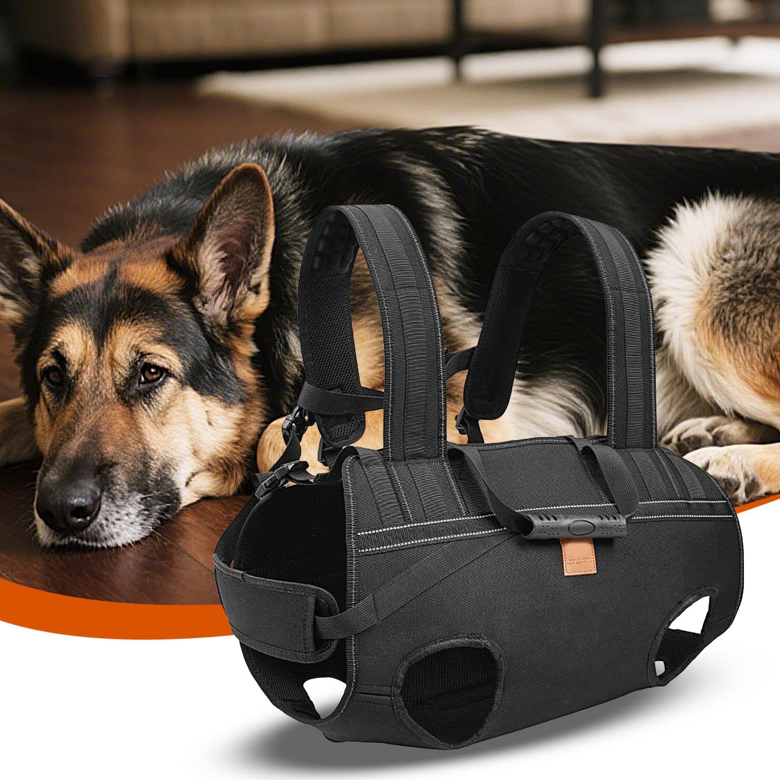 Guinzaglio Sollevatore per Cani Pettorina Regolabile Traspirante | Imbracatura Per Trasporto Cani Per Cani Anziani E Razze Grandi, Alla Mobilità, Riabilitazione, Passeggiate Quotidiane,