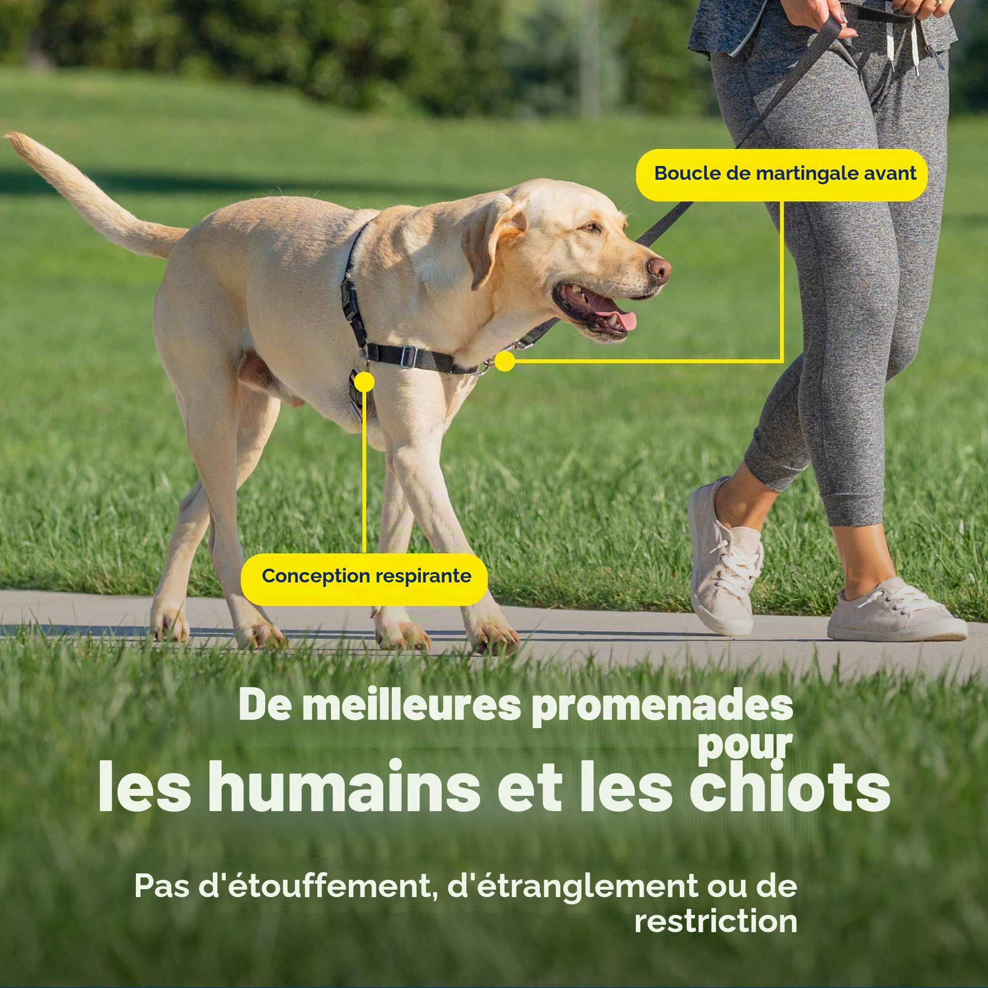 PetSafe Easy Walk Harnais anti-traction pour chien – Le harnais ultime pour aider à arrêter de tirer – Prenez le contrôle et enseignez de meilleures manières de la laisse – Aide à empêcher les animaux