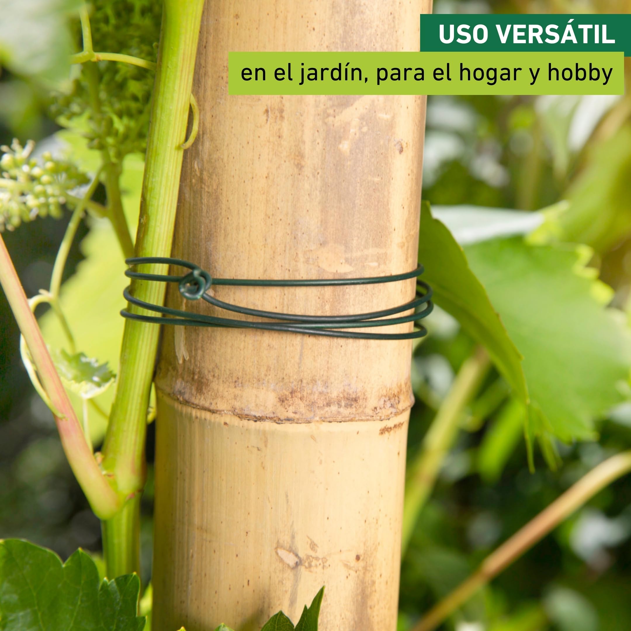 Windhager Alambre para jardín, Alambre para Flores, Alambre para Plantas, Alambre galvanizado y Revestido, Verde, 60 m x 1,4 mm, 06226