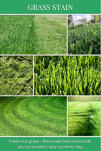 Miniatura 2 de Eco Candle Co. Vela reciclada, tinte de hierba, 26 oz. Doble mecha - aromas de hierba fresca cortada - 100% cera de soja, sin plomo, etiqueta y tapa