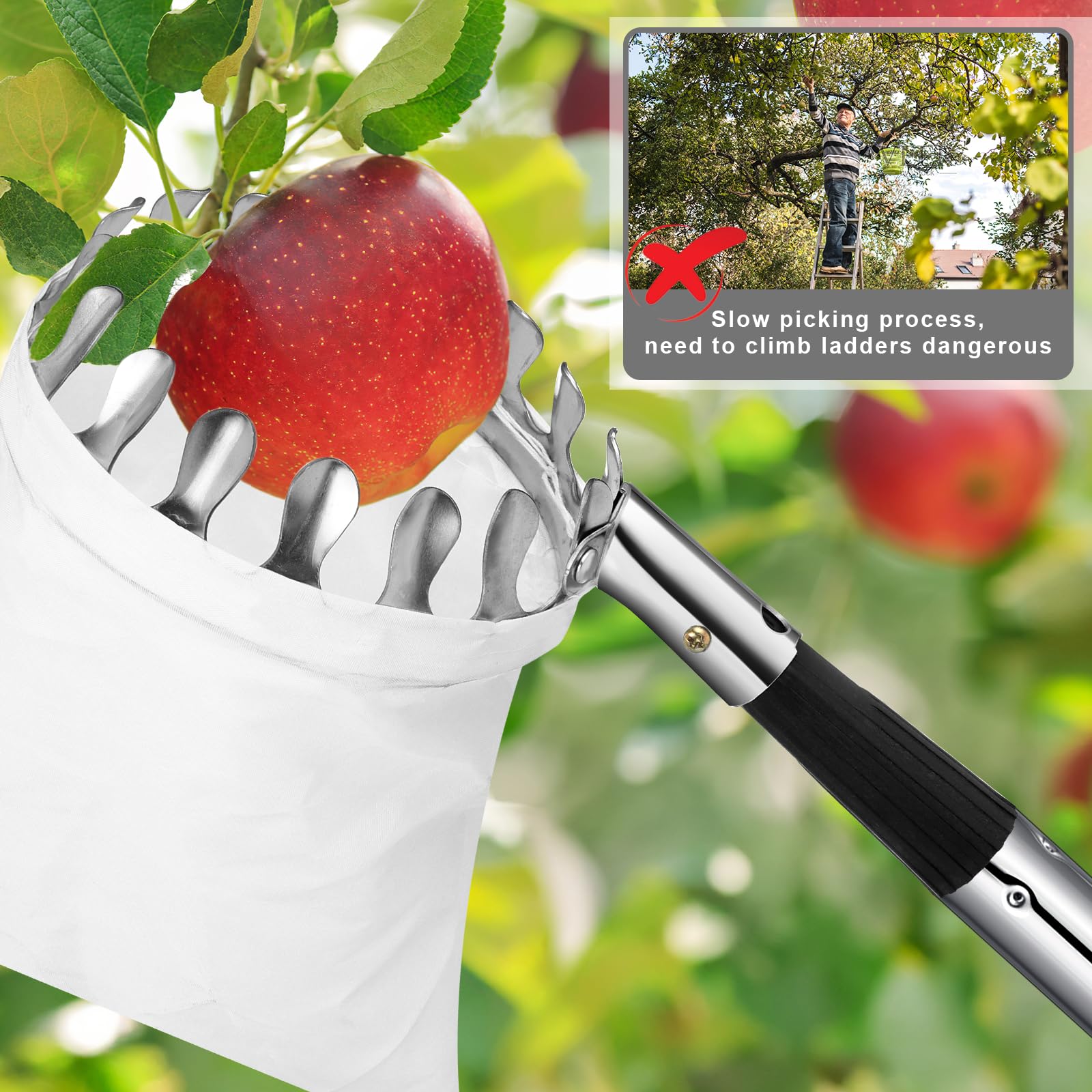 Draupnir 3,5m Cueille Fruit Telescopique, Cueille Pommes, Ramasse Fruits, Cueille Poires Cerise, Acier Inoxydable, Outil Cueilleur de Fruits avec Sac Coton Ø 16 cm