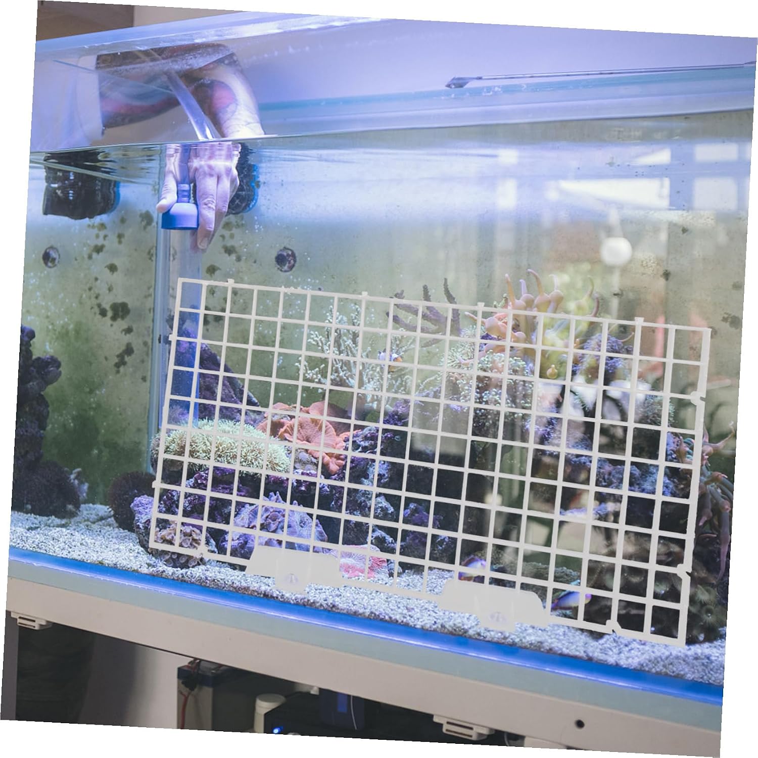 Fish Tank Divider Board Aquarium Isolation Tray with Egg Crate Design for Separating Aggressive Fish and Enhancing Survival Rate in White Panels