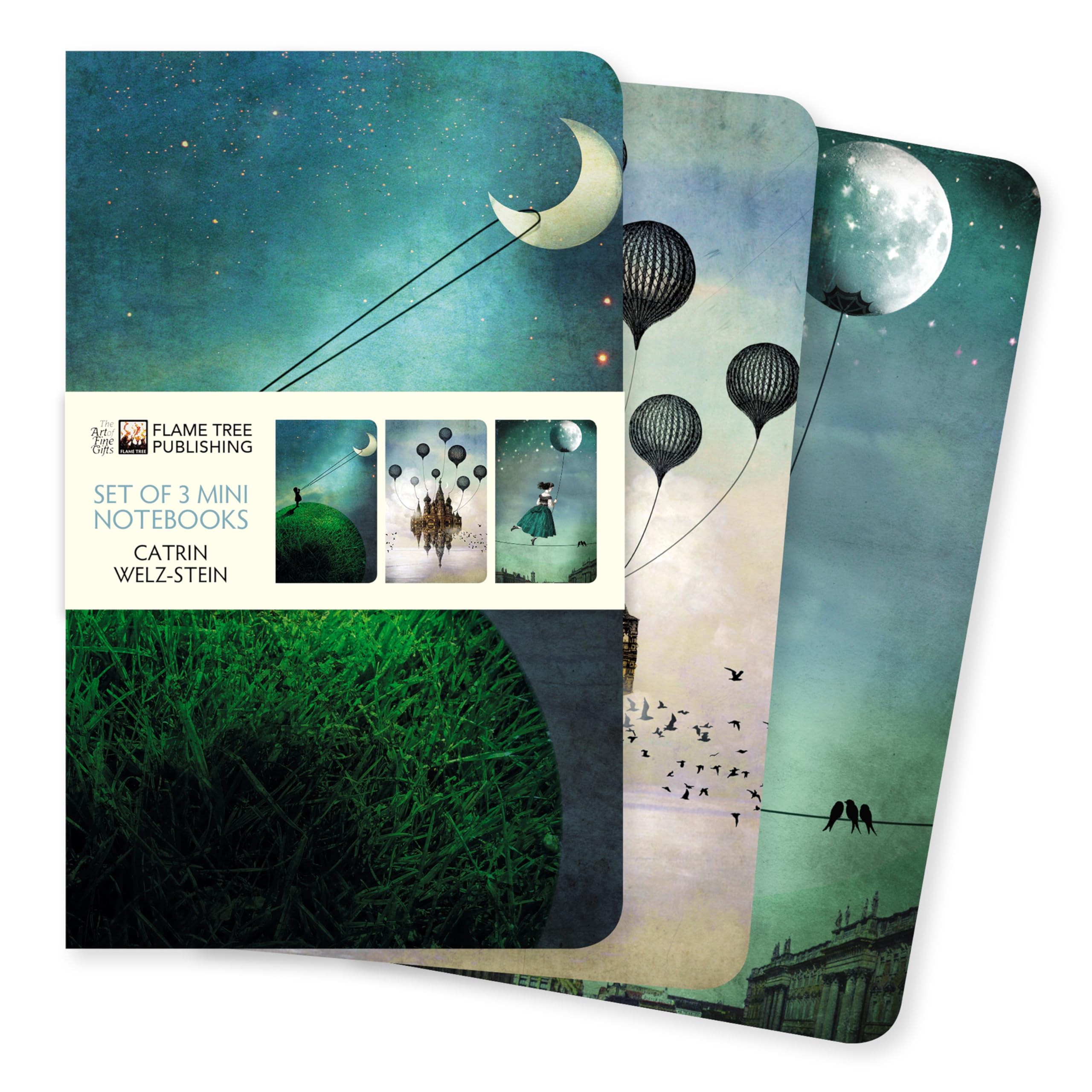 Flame Tree Gift Catrin Welz-Stein Set of 3 Mini Notebooks