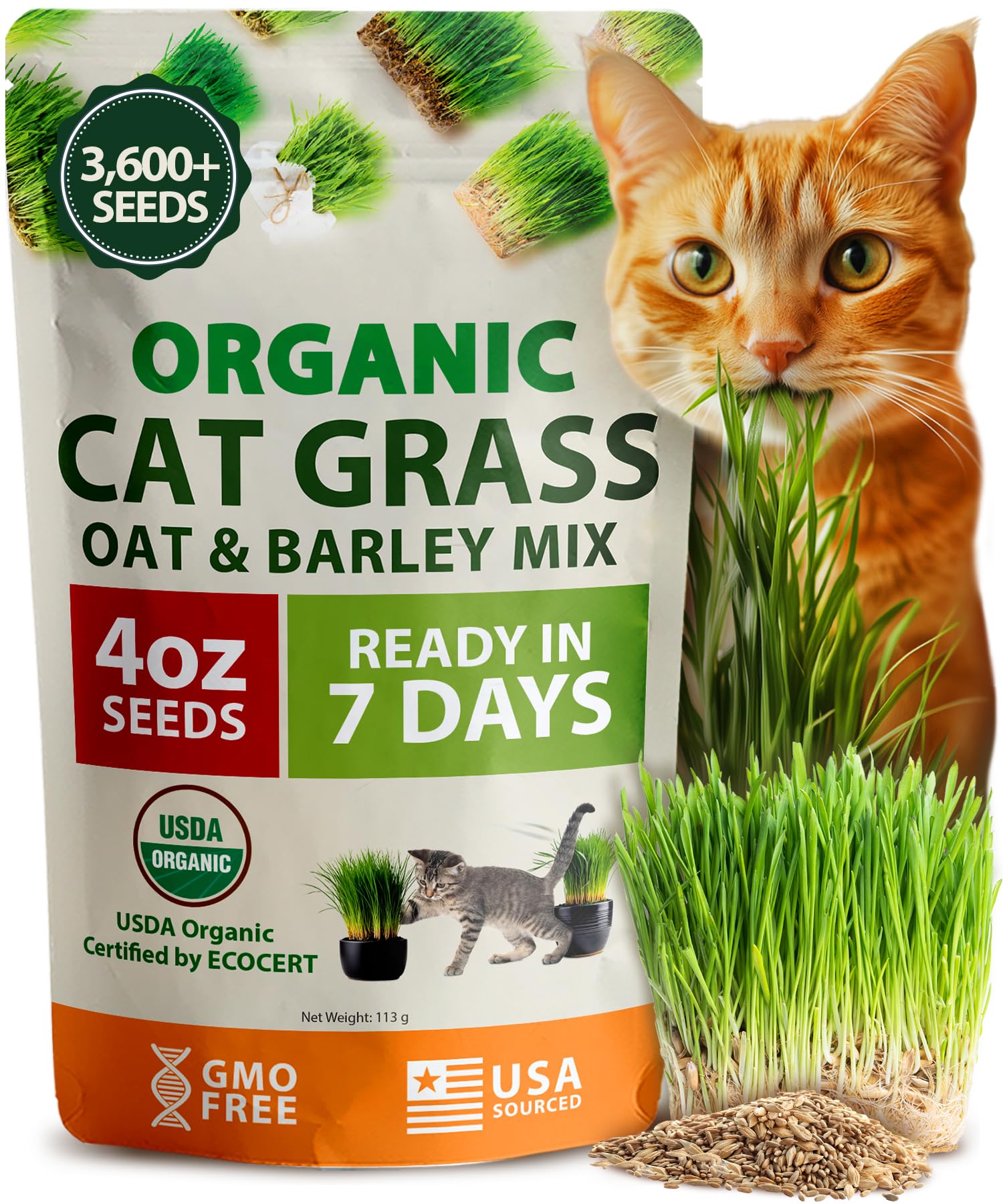HOME GROWN Organic Cat-Grass Seed Mix (Oat & Barley) – 4 oz – Easy Indoor Planter