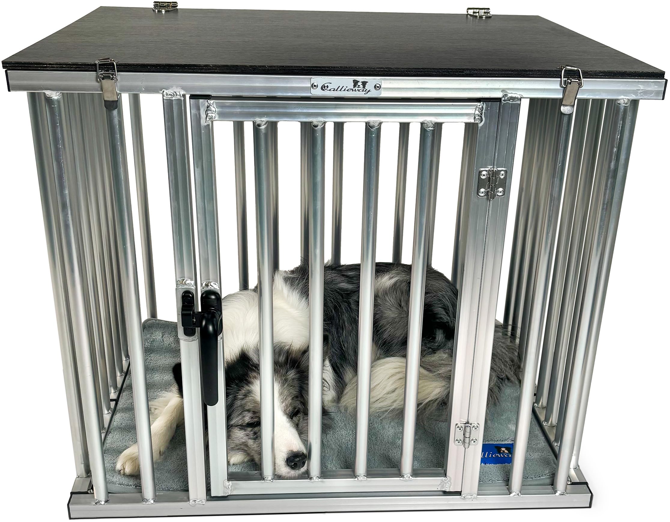 Cage de Transport en Aluminium pour Chiens à la Maison, Pliable, Portable et Poids léger (XL)