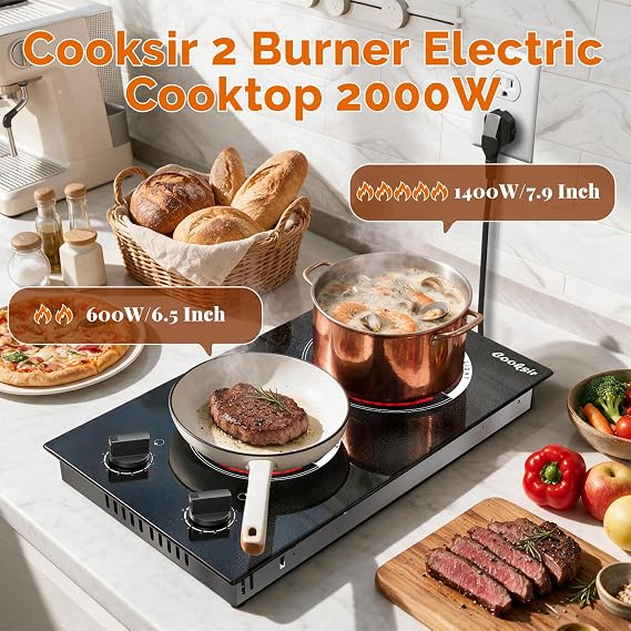 2 Burner Electric Cooktop 110V Plug in Knob Control