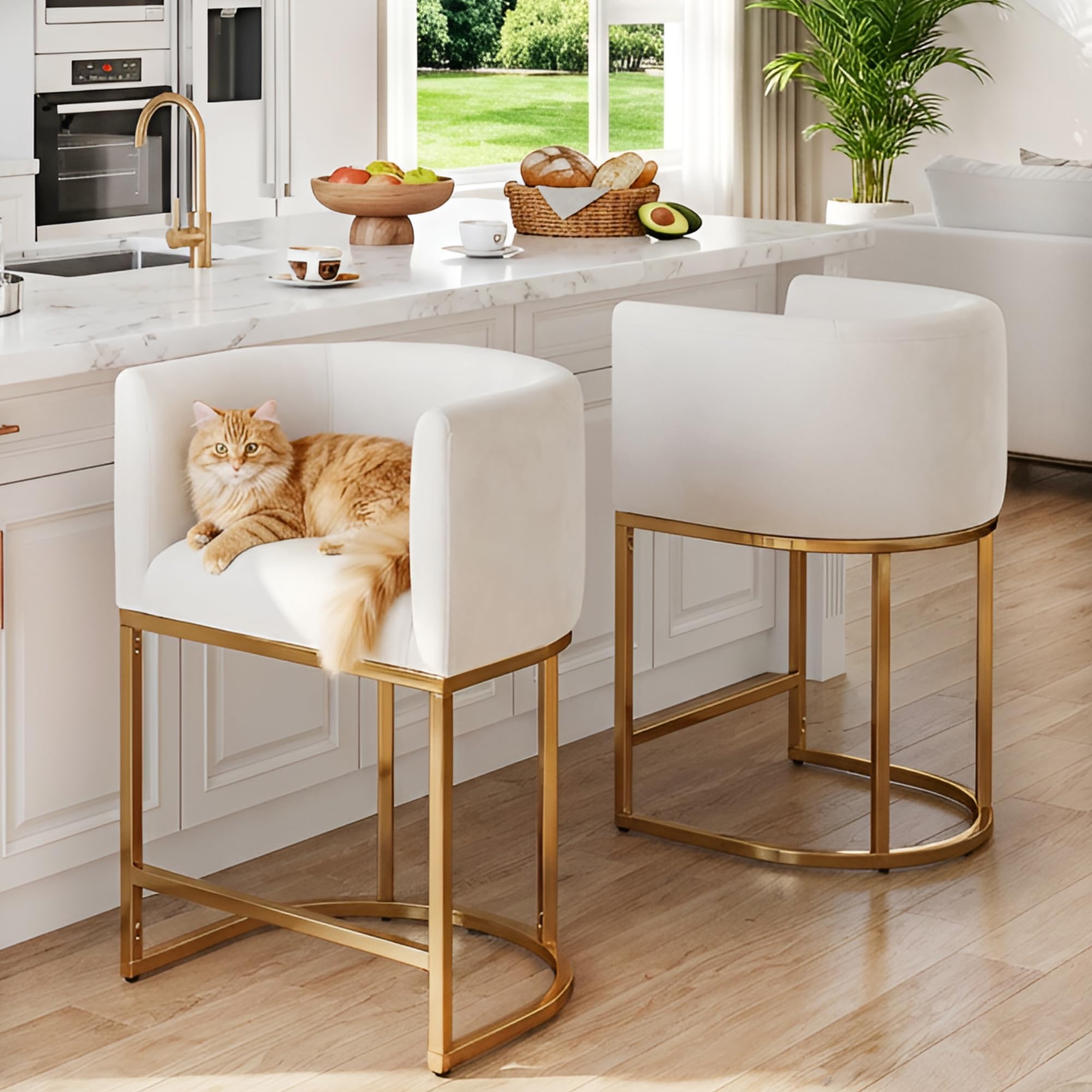 HNY Modern Barrel Counter Height Clearance Bar Stools Set of 2, 24 Inch Velvet Kitchen Barstools with Back for Island, with Gold Metal Tubular Frame,