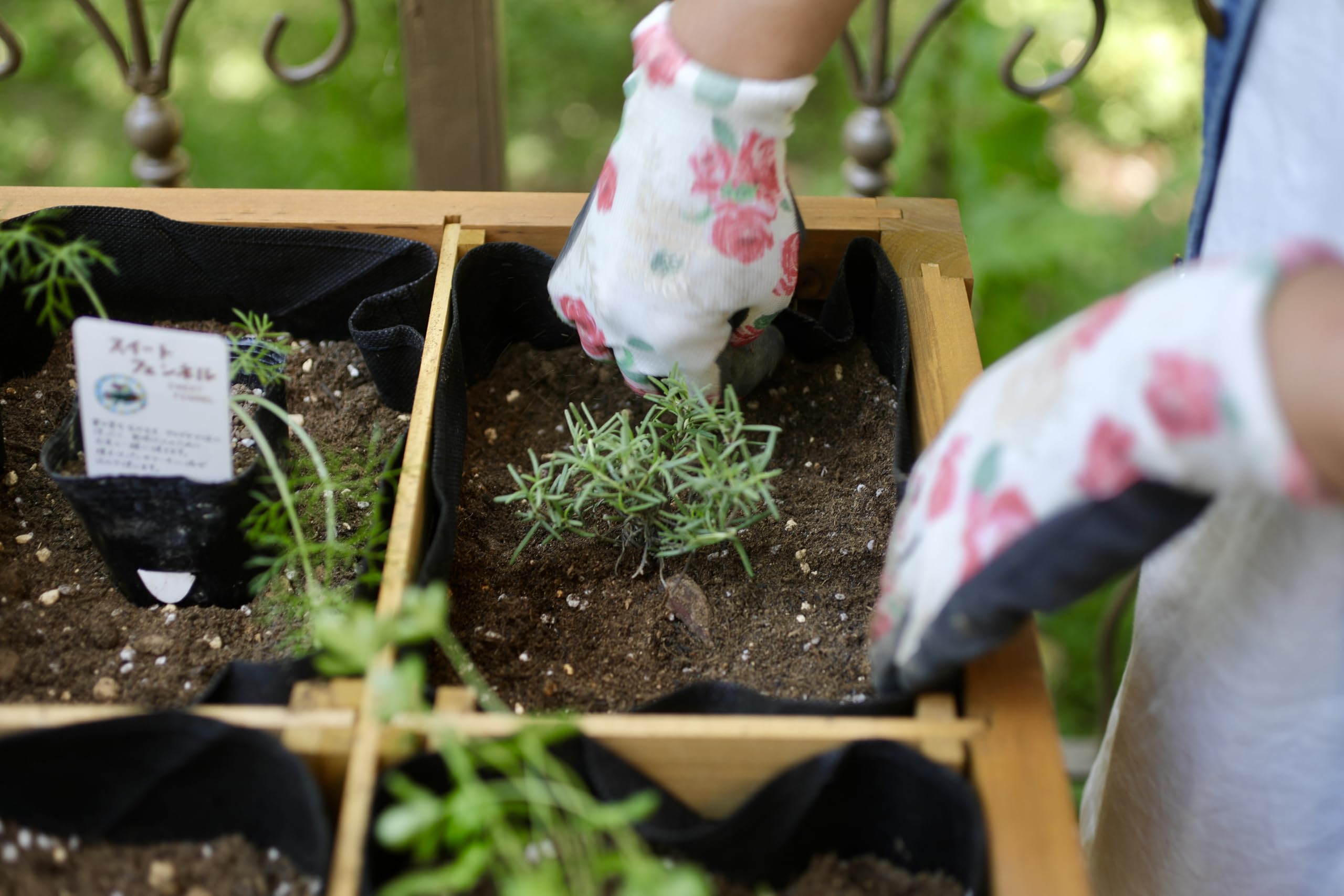 Vegtrug - Mesa de Cultivo, Incluye Compartimentos para Plantas // 80 x 78 x 58 cm (Largo x Prof. x Alto)