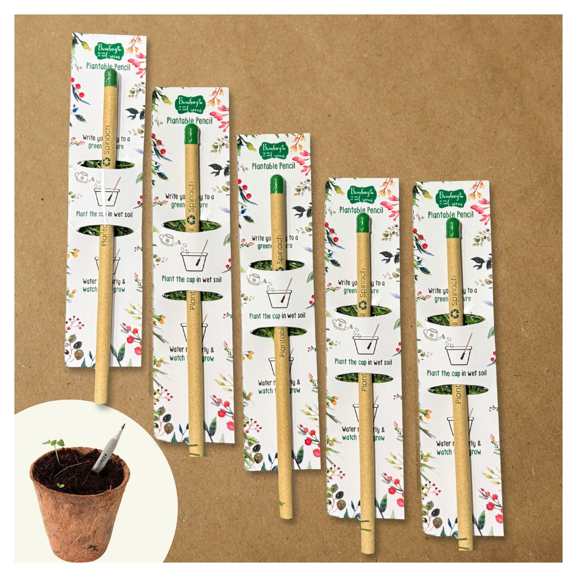 Bombay Greens -50 Plantable Seed Pencils – Bio degradable Eco-Friendly Stationery for Corporate Gifting | Sustainable Gifts with Seeds – Pack of 50-image-9