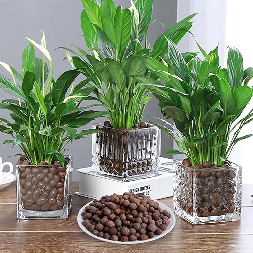 Miniatura 4 de Suministros hidropónicos de arcilla expandida Leca de 6 libras para plantas de jardín de interior (6 libras)