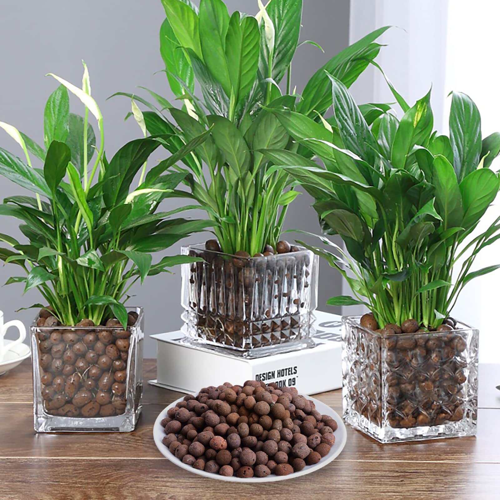 Piedras de arcilla expandida Leca de 6 libras para plantas de jardín de interior (6 libras)